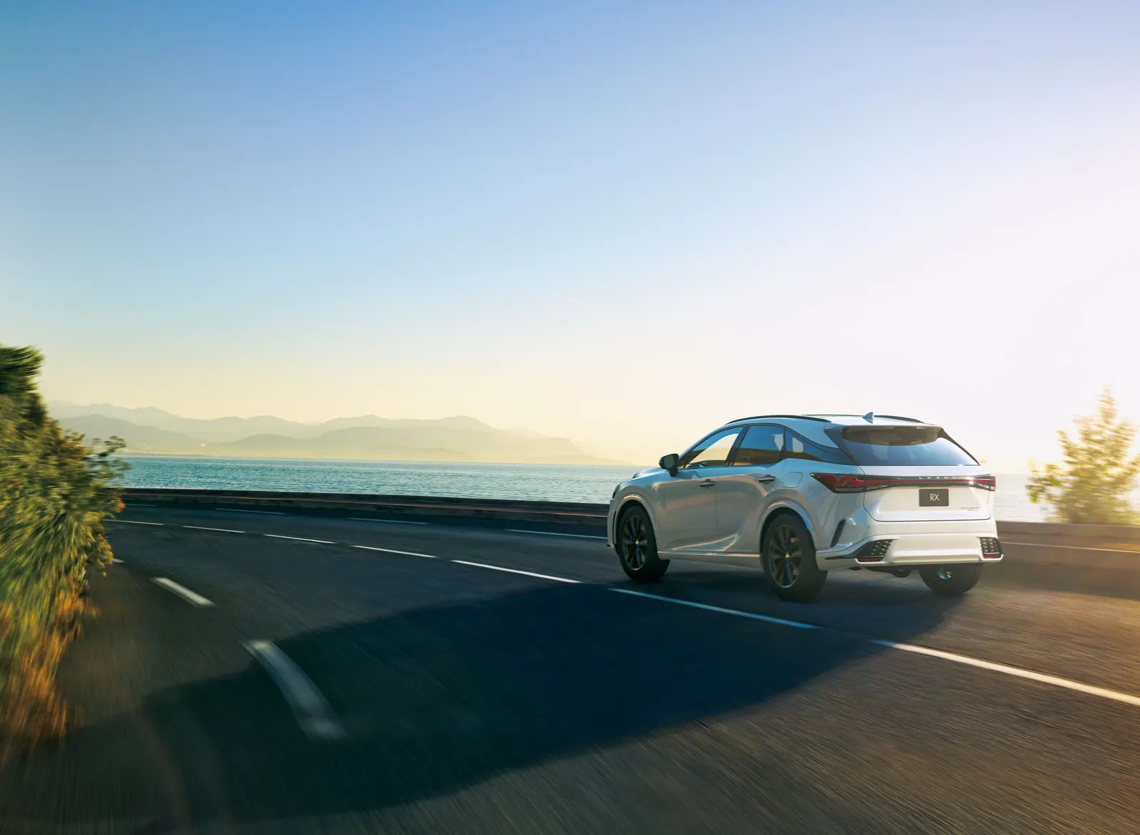 Lexus RX, вид сзади