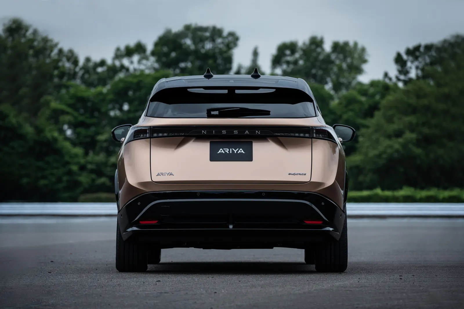 Nissan Ariya, вид сзади