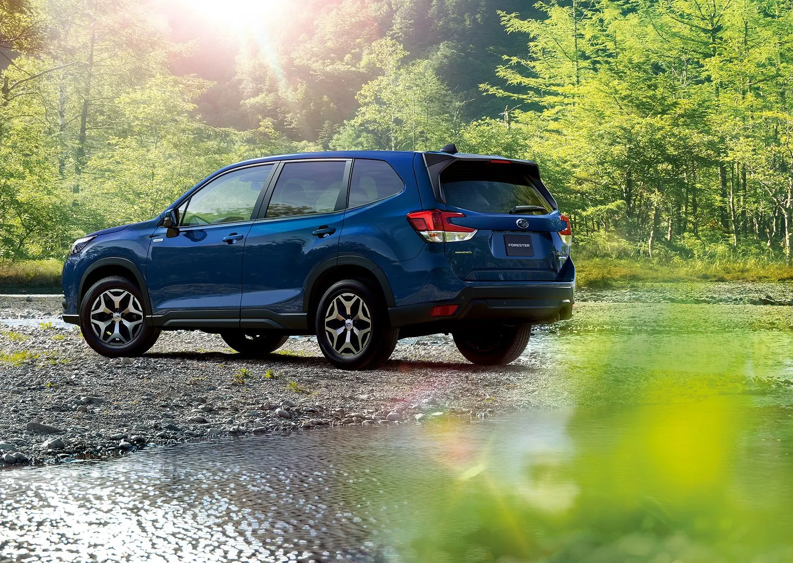 Subaru Forester, вид сзади