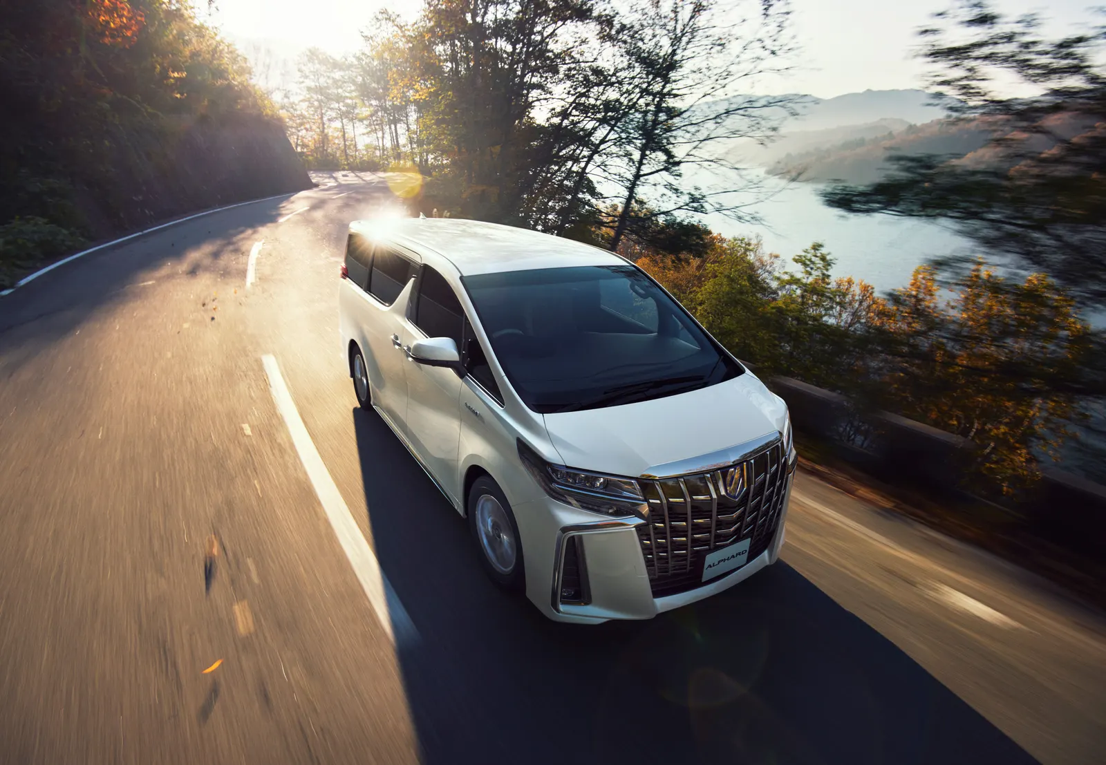 Toyota Alphard, фото 5