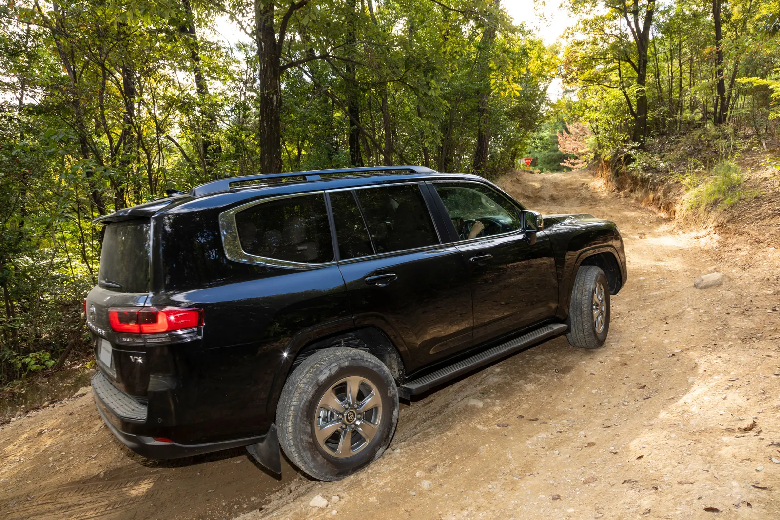 Toyota Land Cruiser, фото 4