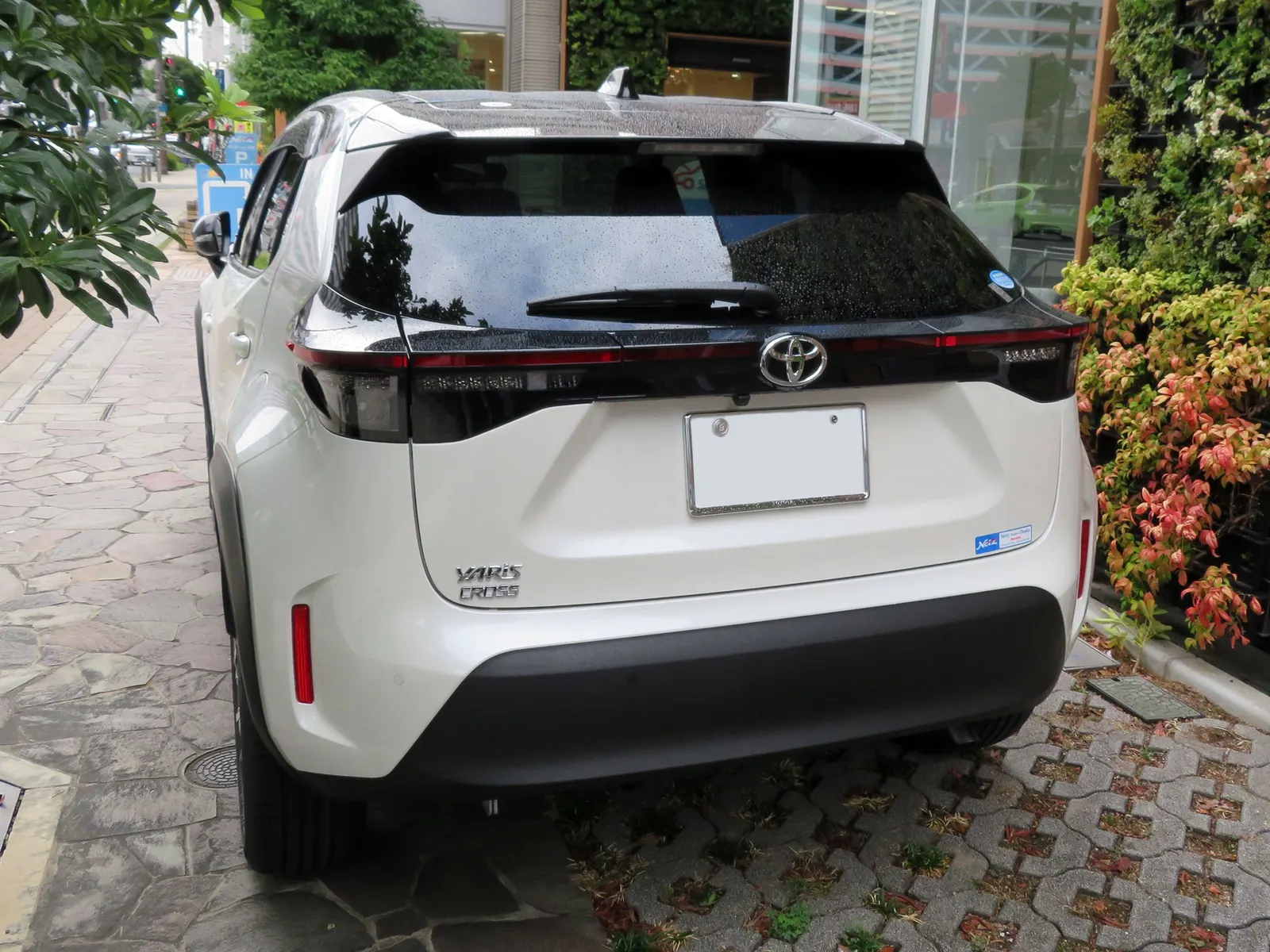 Toyota Yaris Cross, вид сзади